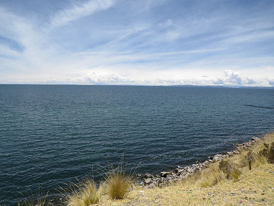 puno copa 8